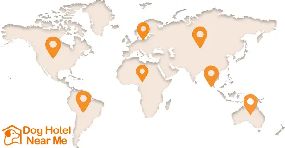 Dog Hotel Near Me Around the World