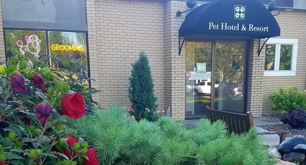 Four Paws Pet Hotel & Resort banner