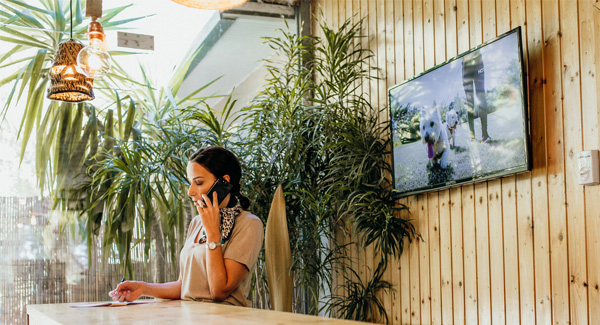 Hotel do Cão Algarve