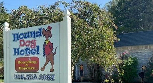 Hound Dog Hotel