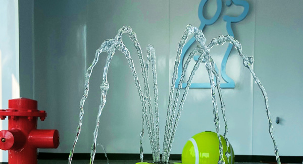 Humphrey's Dog Resort banner