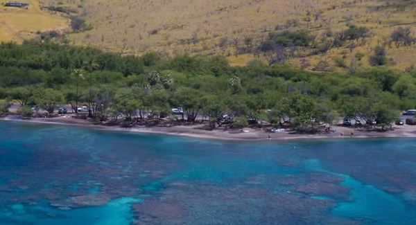 Olowalu Dog Ranch banner