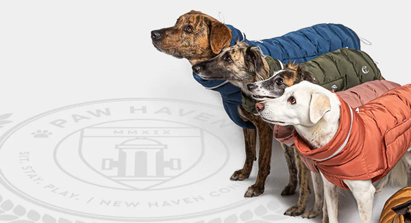 Paw Haven banner